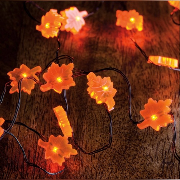 *Leaf Wire Lights With Timer - Picture 14 of 15
